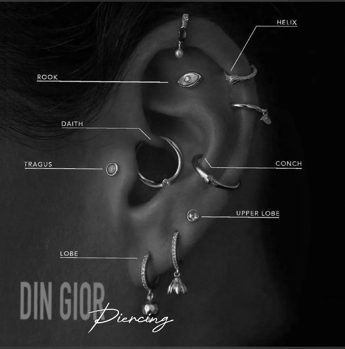 Ear_pic