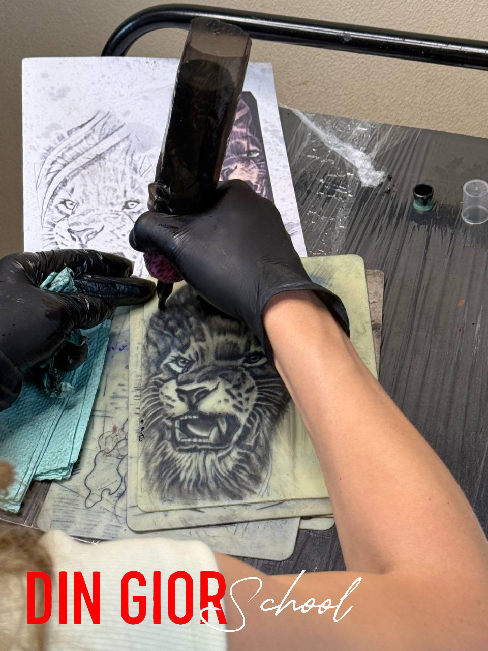 photo_2025-08-13 01.14.34