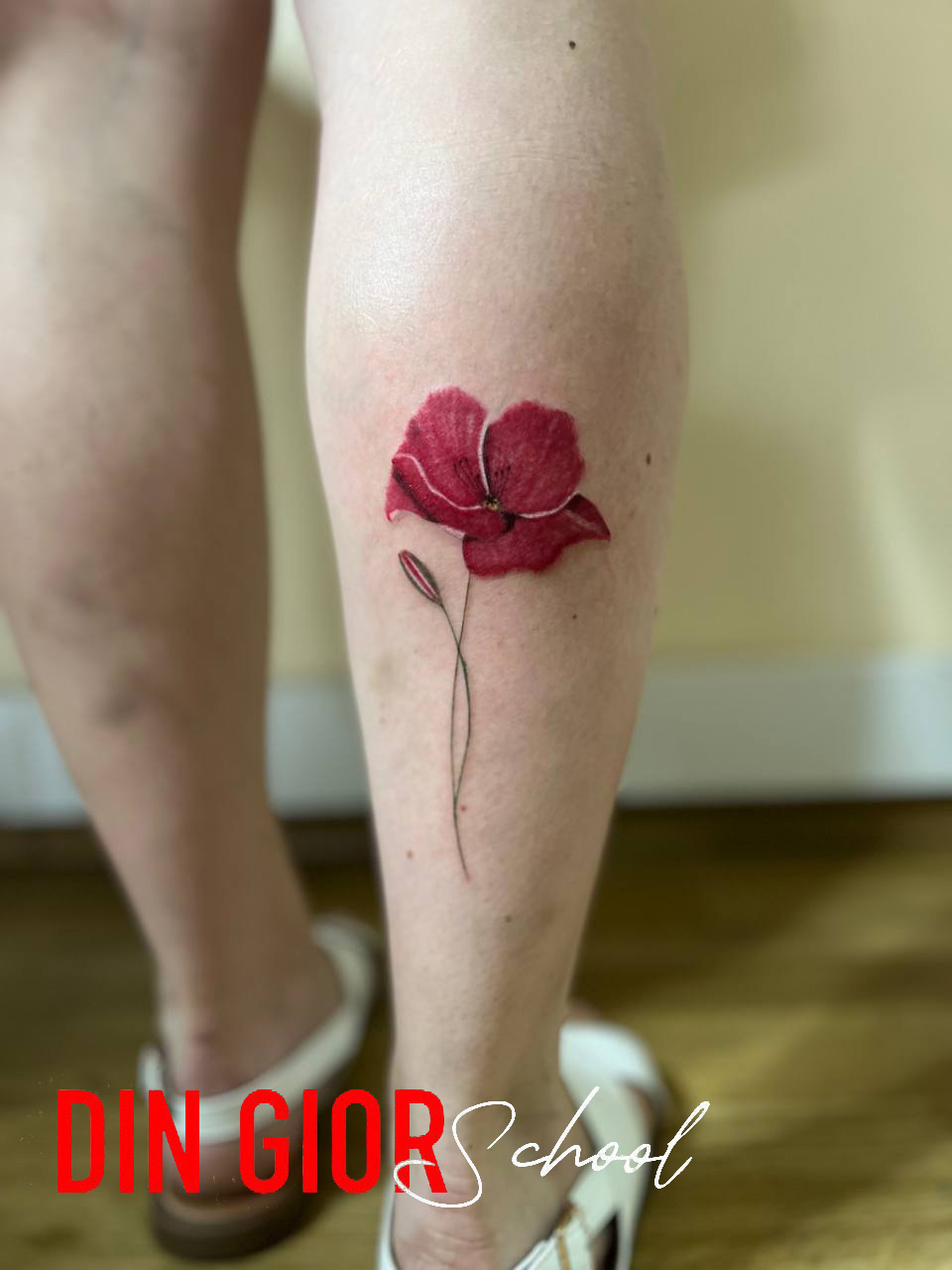 photo_2025-08-13 01.28.40