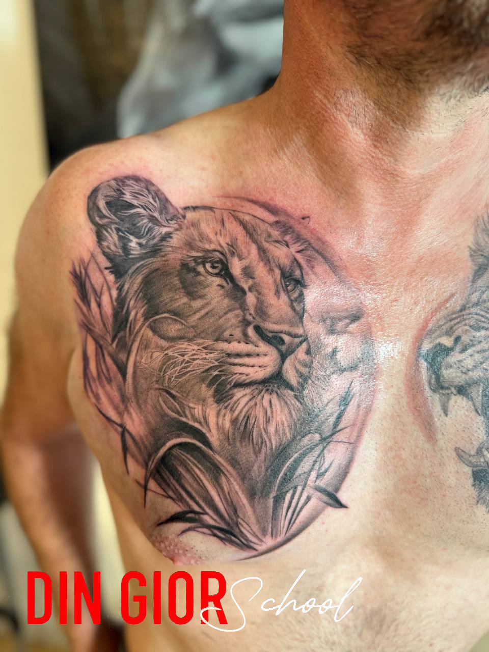 photo_2025-08-13 01.28.42