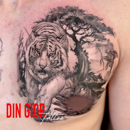 photo 2025-08-11-19.49.02