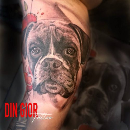 photo 2025-08-11-19.49.06