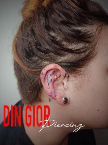 photo 5 2024-08-25 15-47-49